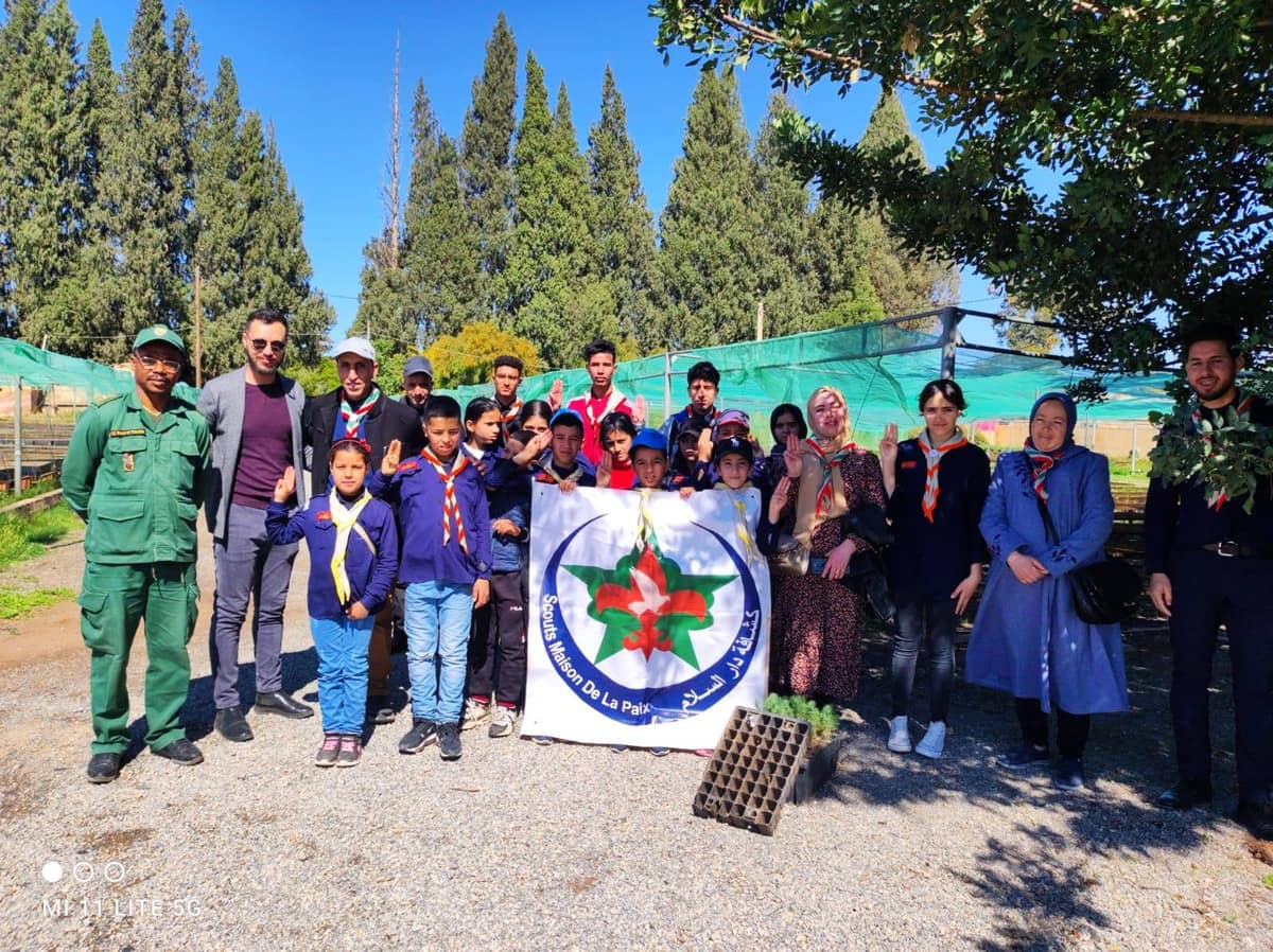 Scouts learning about trees, planting, and environmental care.