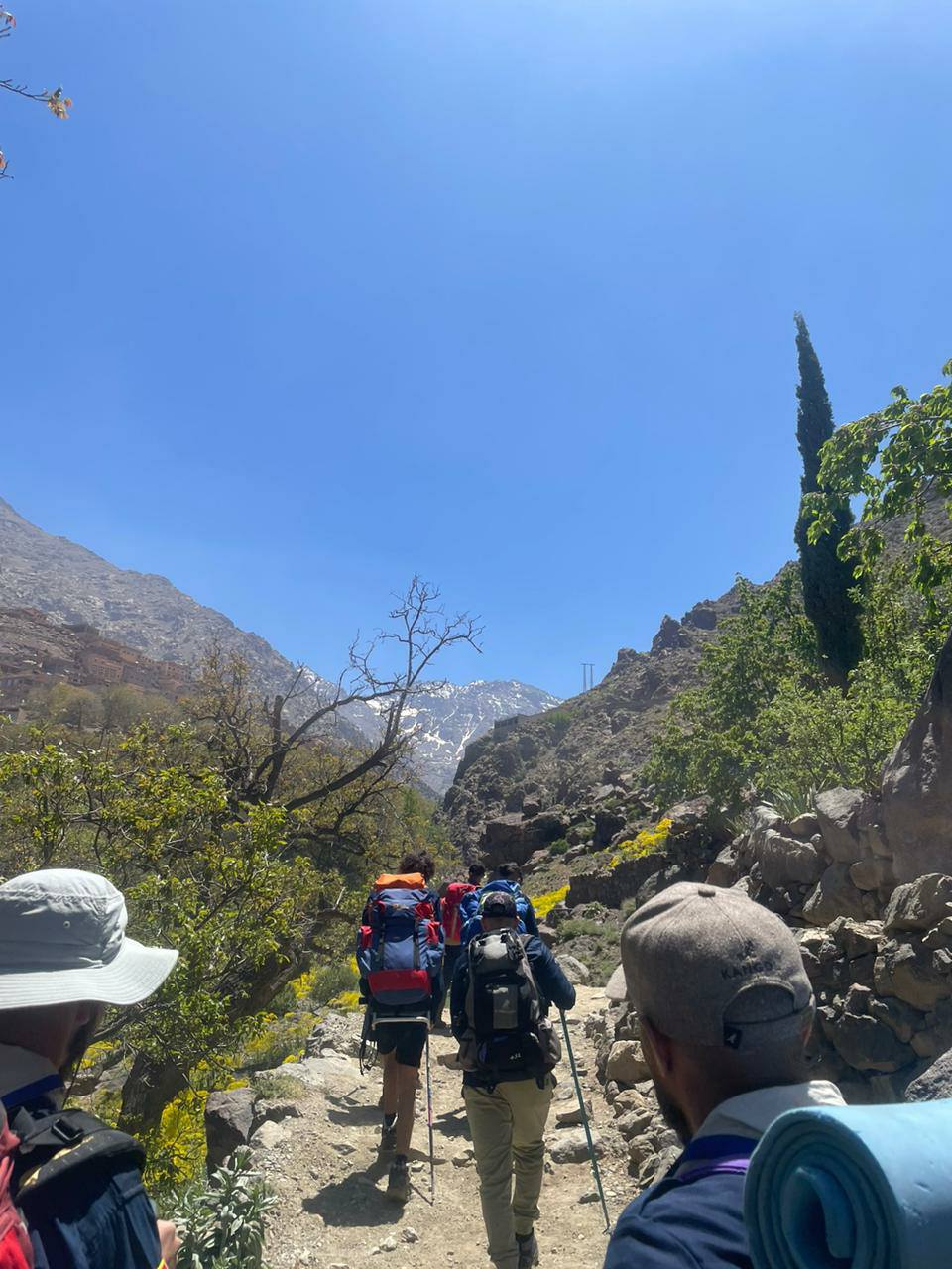 Scouts hiking together on a mountain trail during an outdoor trek.